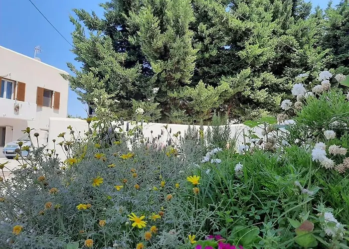 Cozy Town House شقة