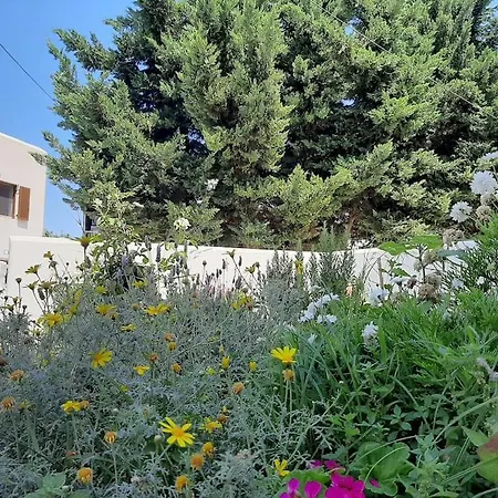 Cozy Town House דירה